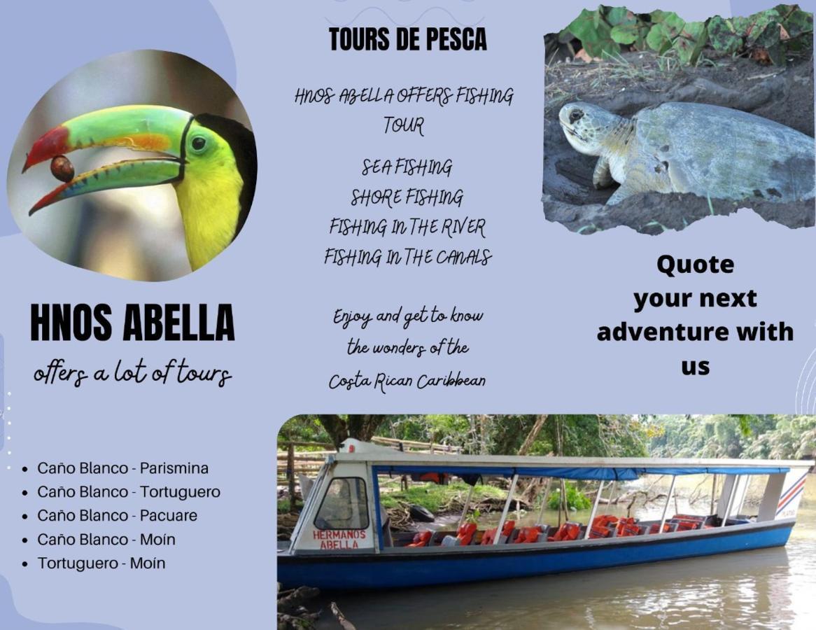Sleep&Go! Cabina Cuadruple En Siquirres Centro - And Rafting Tour! Siqurres Da Alegria Exteriér fotografie